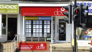 Window Display